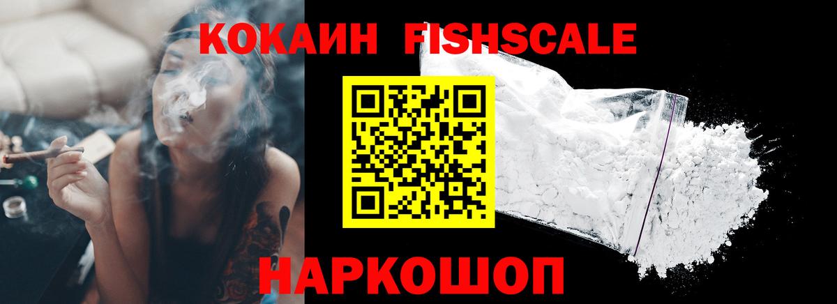 где можно купить наркотик  Вход с VPN  Людиново  Кокаин 98% 