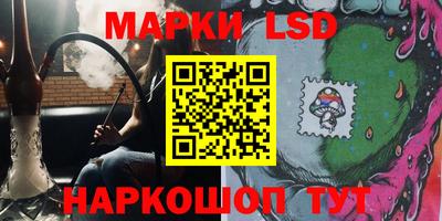 стафф Заводоуковск