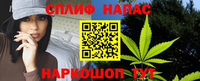 стафф Заводоуковск