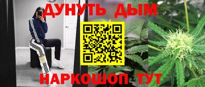 стафф Заводоуковск