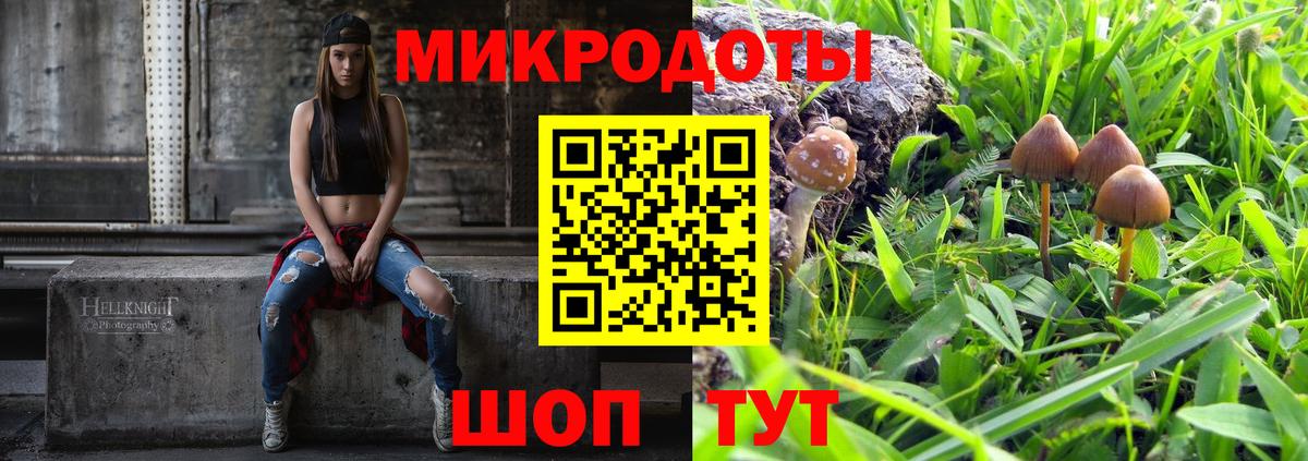 Людиново  Галлюциногенные грибы прущие грибы  Вход с VPN 